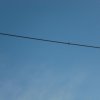 CIMG1345 (Custom)
